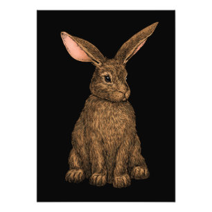 Kaninchen 3 fotodruck