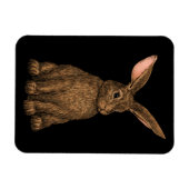 Kaninchen 3 magnet (Horizontal)
