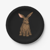 Kaninchen 3 pappteller (Vorderseite)