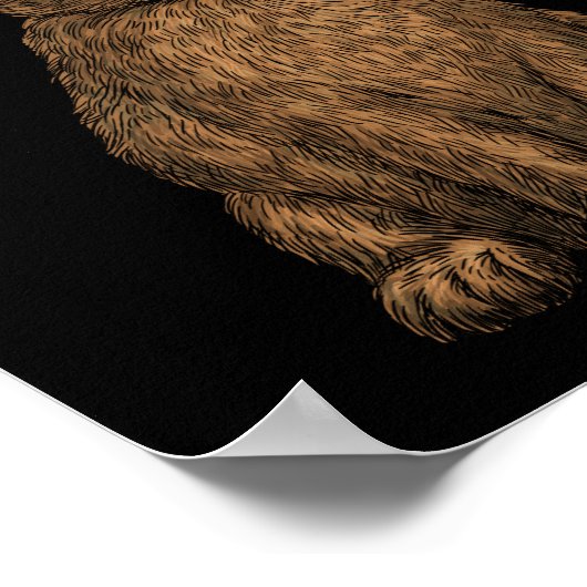 Kaninchen 3 poster (Ecke)