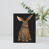 Kaninchen 3 postkarte (Stehend Vorderseite)