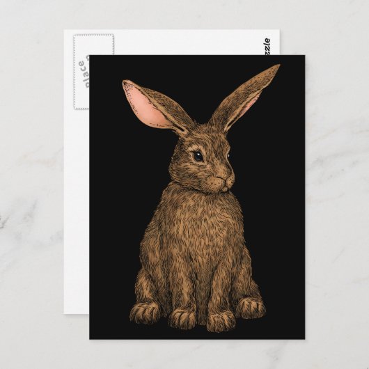 Kaninchen 3 postkarte (Vorne/Hinten)