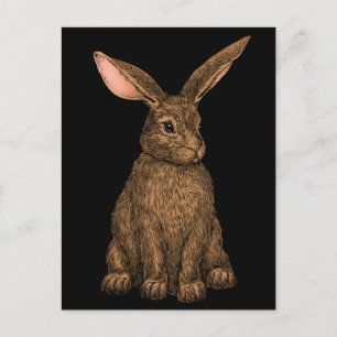 Kaninchen 3 postkarte