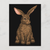 Kaninchen 3 postkarte (Vorderseite)