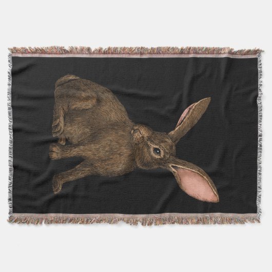 Kaninchen 4 decke (Vorderseite)