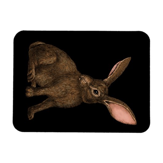 Kaninchen 4 magnet (Horizontal)