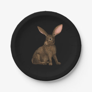 Kaninchen 4 pappteller