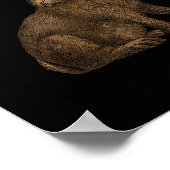 Kaninchen 4 poster (Ecke)