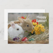 Kaninchen 9 Osterpostkarte Postkarte (Vorne/Hinten)