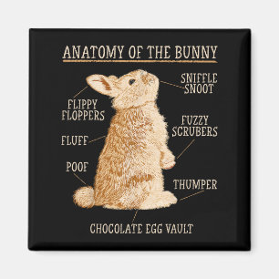 Kaninchen Anatomie Bunny Liebhaber Tierbesitzer Magnet