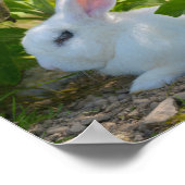 Kaninchen auf dem T - Shirt auf der Postkarte Poster (Ecke)