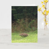 Kaninchen auf der Fahrt Karte (Gelbe Blume)