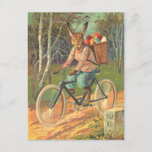 Kaninchen auf seinem Fahrrad und liefern Eier ! Postkarte