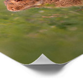 Kaninchen auf Wiese Poster (Ecke)