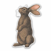 Kaninchen Aufkleber (Vorderseite)
