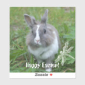 Kaninchen Aufkleber (Blatt)