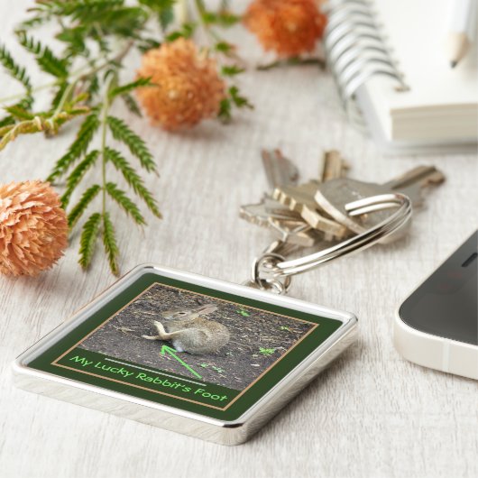 KANINCHEN BALANCIERT, UM DAS FOO GLÜCKLICHEN SCHLÜSSELANHÄNGER (Seite)