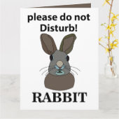 Kaninchen Bitte stören Sie nicht das sonnige Kanin Karte (Gelbe Blume)