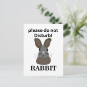Kaninchen Bitte stören Sie nicht das sonnige Kanin Postkarte (Stehend Vorderseite)
