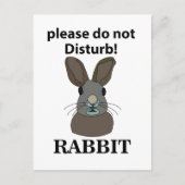 Kaninchen Bitte stören Sie nicht das sonnige Kanin Postkarte (Vorderseite)