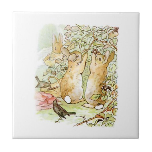Kaninchen: BlackBerry Picking (Beatrix Potter) Fliese (Vorderseite)