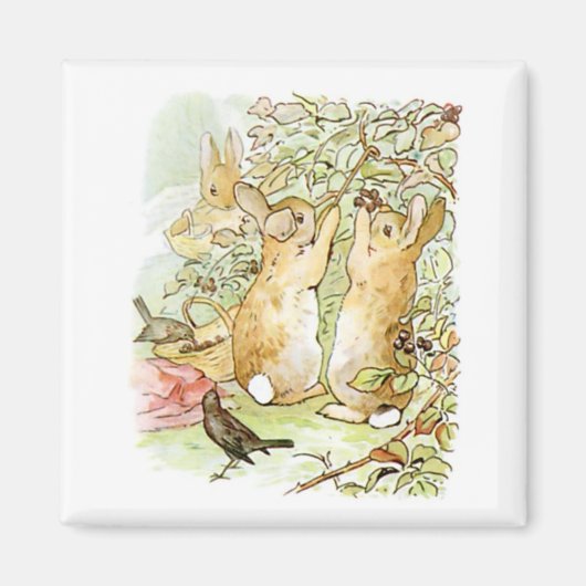 Kaninchen: BlackBerry Picking (Beatrix Potter) Magnet (Vorne)