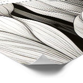 Kaninchen Bunny Friedlich Nature Pinacoteca Casa R Poster (Ecke)