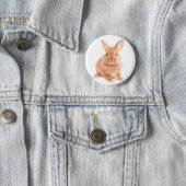 Kaninchen Button (Beispiel)