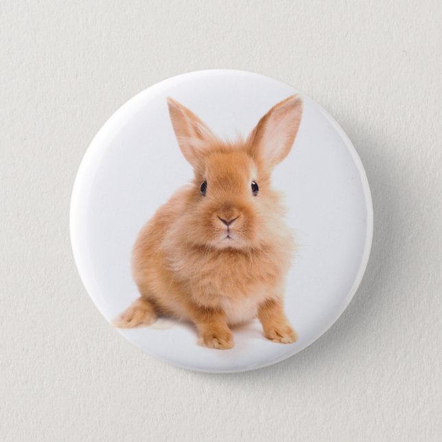 Kaninchen Button (Vorderseite)