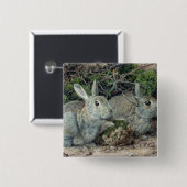 Kaninchen Button (Vorne & Hinten)