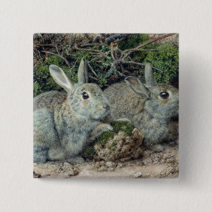 Kaninchen Button