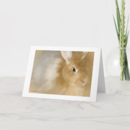 Kaninchen (Caramel) Feiertagskarte