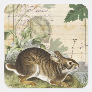 Kaninchen-Collage-Aufkleber Journal Planer Verpack Quadratischer Aufkleber