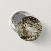 Kaninchen des Waldkaninchen-R24 Button (Vorne & Hinten)