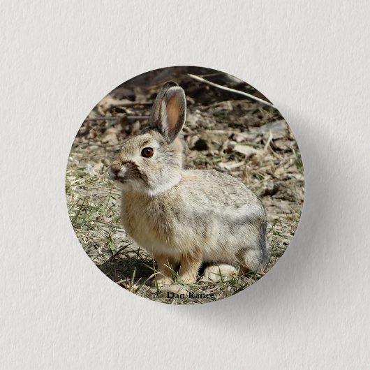 Kaninchen des Waldkaninchen-R24 Button (Vorderseite)