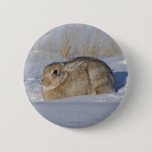 Kaninchen des Waldkaninchen-R5 im Schnee Button