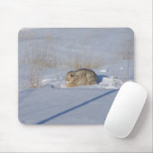 Kaninchen des Waldkaninchen-R5 im Schnee Mousepad (Mit Mouse)
