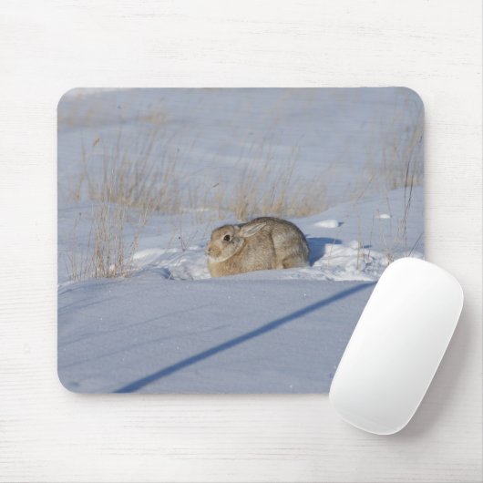 Kaninchen des Waldkaninchen-R5 im Schnee Mousepad (Mit Mouse)