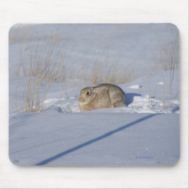 Kaninchen des Waldkaninchen-R5 im Schnee Mousepad