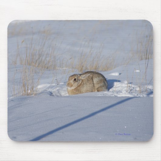 Kaninchen des Waldkaninchen-R5 im Schnee Mousepad (Vorne)