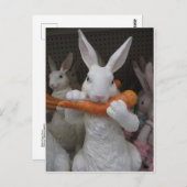 Kaninchen Eating Carrot Postkarte (Vorne/Hinten)
