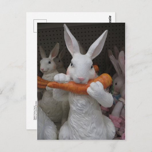 Kaninchen Eating Carrot Postkarte (Vorne/Hinten)