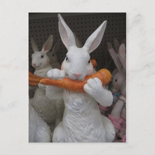 Kaninchen Eating Carrot Postkarte (Vorderseite)