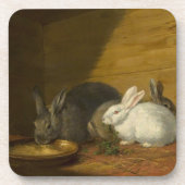 Kaninchen essen Untersetzer der Kunst (Vorderseite)