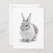 Kaninchen Feiertagspostkarte (Vorne/Hinten)