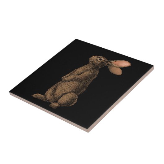 Kaninchen Fliese (Seite)