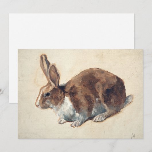 Kaninchen | Floris Verster (Vorne/Hinten)