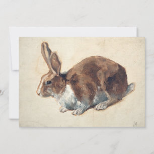 Kaninchen   Floris Verster