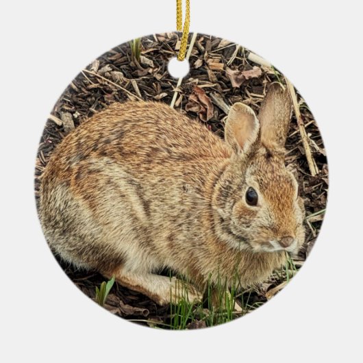 Kaninchen-Foto Keramik Ornament (Vorne)