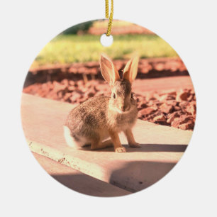 Kaninchen-Foto Ostern Frühling Keramik Ornament